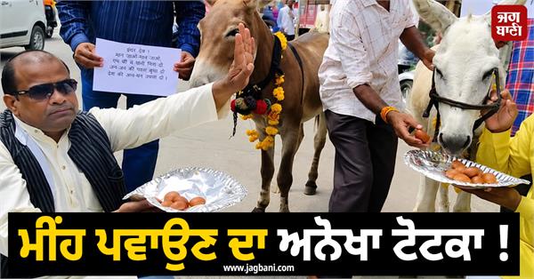 rain  indra dev  gulab jamun  donkeys  weather update  imd