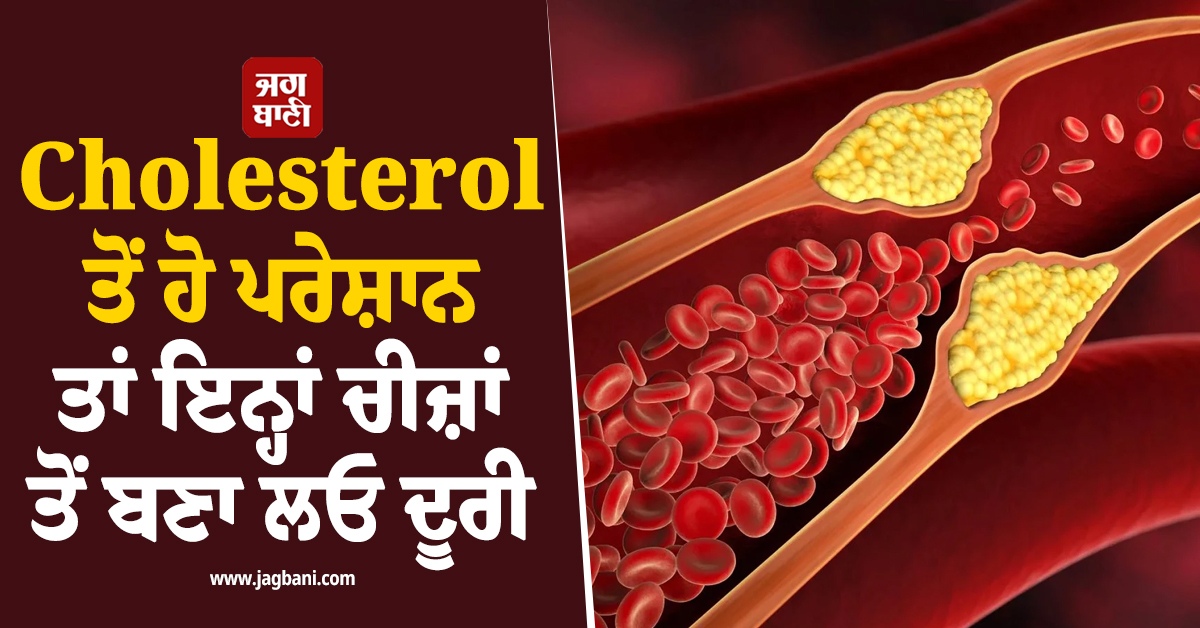Cholesterol ਤੋਂ ਹੋ ਪਰੇਸ਼ਾਨ ਤਾਂ ਇਨ੍ਹਾਂ ਚੀਜ਼ਾਂ ਤੋਂ ਬਣਾ ਲਓ ਦੂਰੀ, ਨਹੀਂ ਤਾਂ ਸਿਹਤ ਨੂੰ ਹੋ ਸਕਦੈ ਵੱਡਾ ਨੁਕਸਾਨ