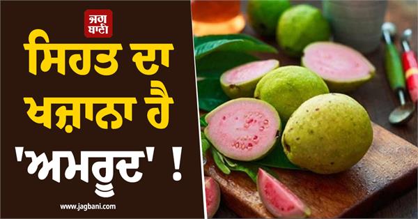 guava is a treasure of health