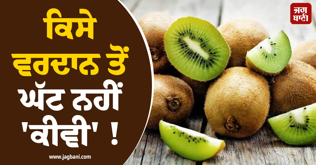ਕਿਸੇ ਵਰਦਾਨ ਤੋਂ ਘੱਟ ਨਹੀਂ 'ਕੀਵੀ' ! ਜਾਣੋ ਇਸ ਦੇ ਖਾਣ ਦੇ ਹੈਰਾਨੀਜਨਕ ਫਾਇਦੇ
