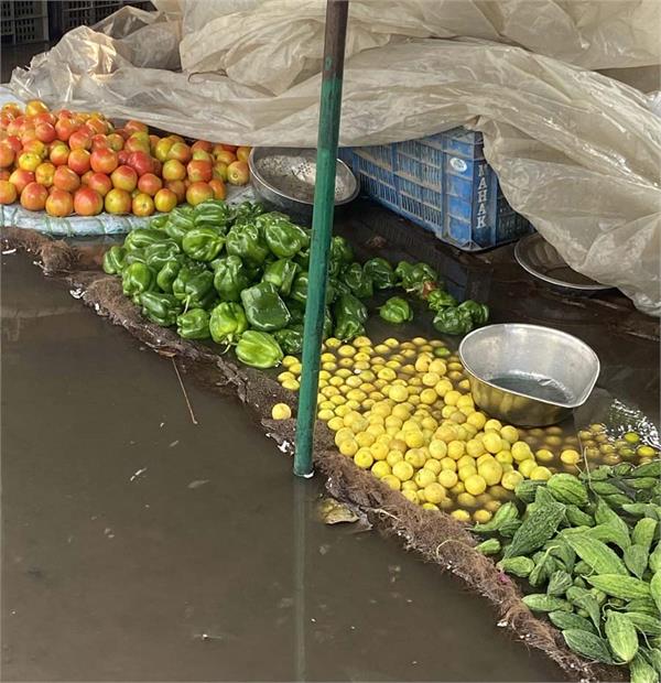 vegetables floating in pratap bagh vegetable market