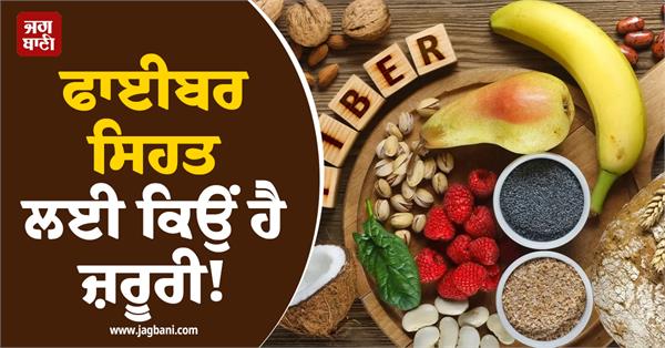 why is fiber important for health 