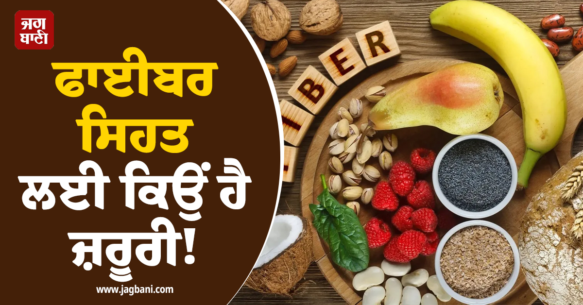 ਫਾਈਬਰ ਸਿਹਤ ਲਈ ਕਿਉਂ ਹੈ ਜ਼ਰੂਰੀ! ਜਾਣ ਲਓ ਇਸ ਦੇ ਹੈਰਾਨੀਜਨਕ ਫਾਇਦੇ