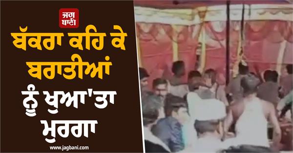 marriage  mutton  chicken groom family