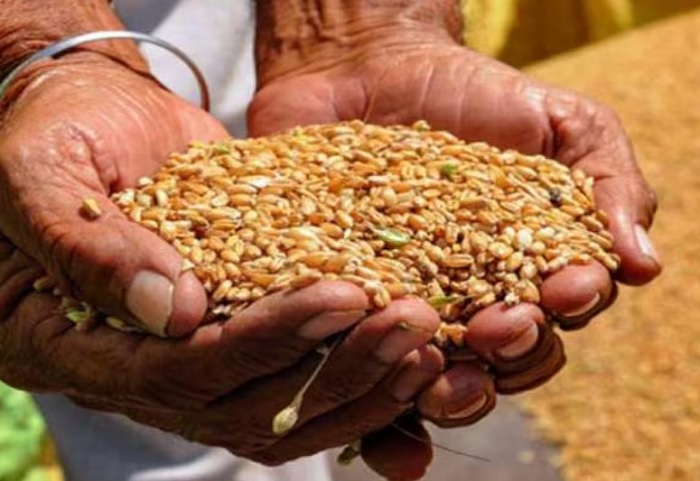 ਰਾਸ਼ਨ ਕਾਰਡਾਂ ਦੀ ਡਿਜੀਟਲ ਜਾਂਚ, 6.77 ਕਰੋੜ ਫਰਜ਼ੀ ਰਾਸ਼ਨ ਕਾਰਡ ਰੱਦ