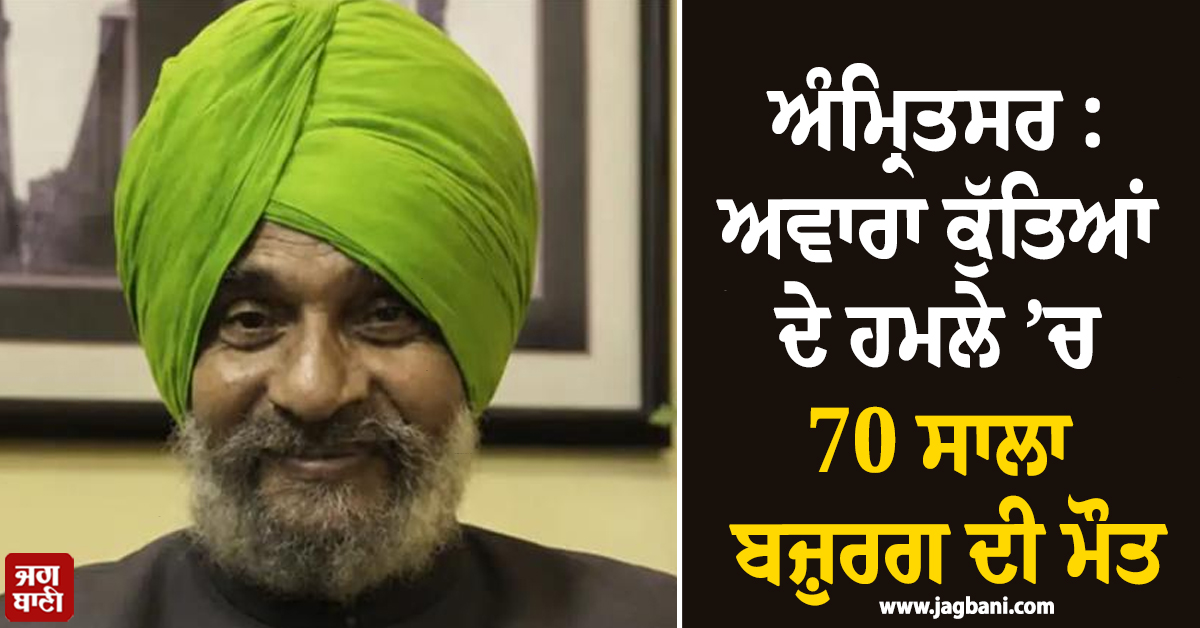ਅੰਮ੍ਰਿਤਸਰ : ਆਵਾਰਾ ਕੁੱਤਿਆਂ ਦੇ ਹਮਲੇ ’ਚ 70 ਸਾਲਾ ਬਜ਼ੁਰਗ ਦੀ ਮੌਤ, ਨੋਚ-ਨੋਚ ਖਾ ਕੇ ਗਏ ਕੁੱਤੇ