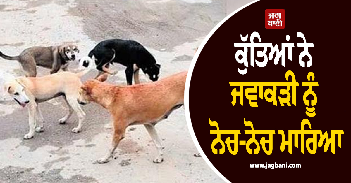 Punjab:ਕੁੱਤਿਆਂ ਨੇ ਜਵਾਕੜੀ ਨੂੰ ਨੋਚ-ਨੋਚ ਮਾਰਿਆ, ਤੜਫ਼-ਤੜਫ਼ ਨਿਕਲੀ ਜਾਨ