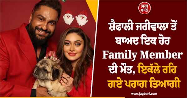 parag tyagi s pet dog simba passes away