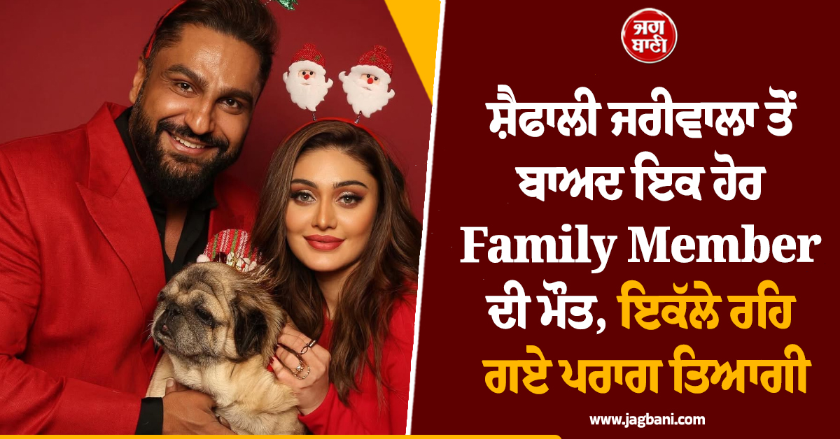 ਸ਼ੈਫਾਲੀ ਜਰੀਵਾਲਾ ਤੋਂ ਬਾਅਦ ਇਕ ਹੋਰ Family Member ਦੀ ਮੌਤ, ਇਕੱਲੇ ਰਹਿ ਗਏ ਪਰਾਗ ਤਿਆਗੀ