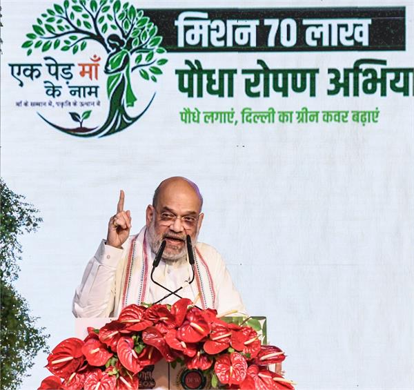 amit shah  delhi  central ridge  delhi government