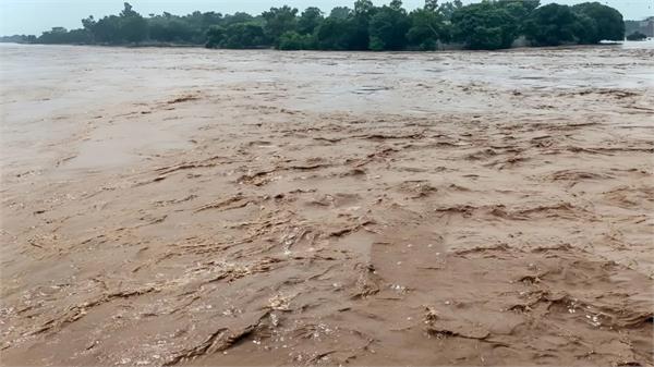 ravi river due to heavy rains has again raised concerns among people