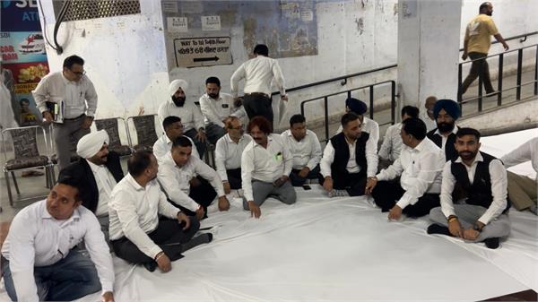 ludhiana advocates strike