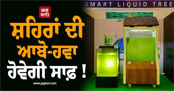 city  air  clean  mobile liquid tree  pollution