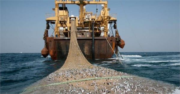 china  s illegal fishing   shadow fleet   becomes a major threat