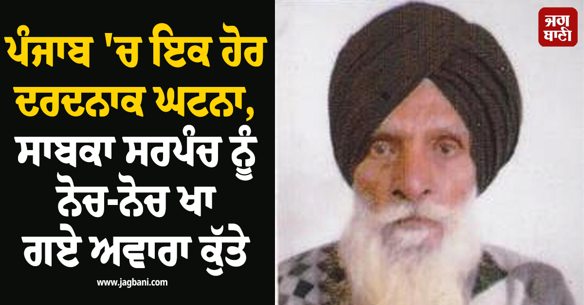 ਪੰਜਾਬ 'ਚ ਇਕ ਹੋਰ ਦਰਦਨਾਕ ਘਟਨਾ, ਸਾਬਕਾ ਸਰਪੰਚ ਨੂੰ ਨੋਚ-ਨੋਚ ਖਾ ਗਏ ਅਵਾਰਾ ਕੁੱਤੇ