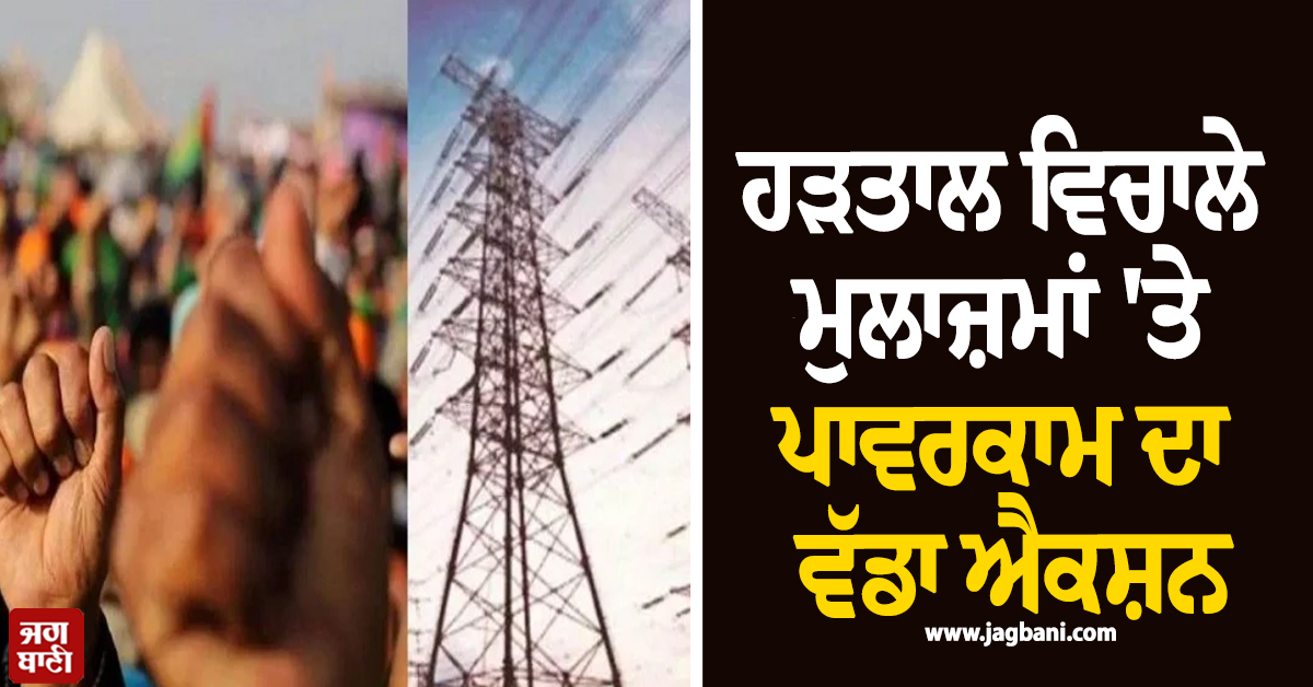 ਹੜਤਾਲ ਵਿਚਾਲੇ ਮੁਲਾਜ਼ਮਾਂ 'ਤੇ ਪਾਵਰਕਾਮ ਦਾ ਵੱਡਾ ਐਕਸ਼ਨ, ਤਨਖ਼ਾਹਾਂ ਨੂੰ ਲੈ ਕੇ ਆ ਗਿਆ...