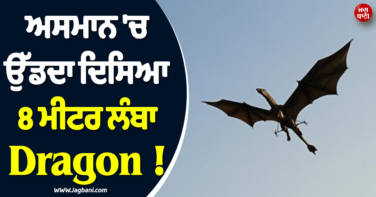 ਅਸਮਾਨ ''ਚ ਉੱਡਦਾ ਦਿਸਿਆ 8 ਮੀਟਰ ਲੰਬਾ Dragon ! ਦੇਖ ਕੇ ਹਰ ਕਿਸੇ ਦੀਆਂ ਅੱਡੀਆਂ ਰਹਿ ਗਈਆਂ ਅੱਖਾਂ