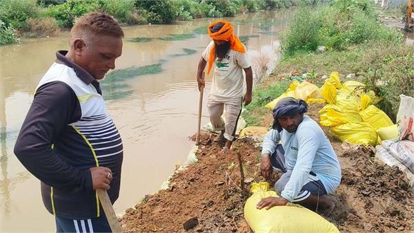 canal embankment breaches  water enters colonies in jalandhar