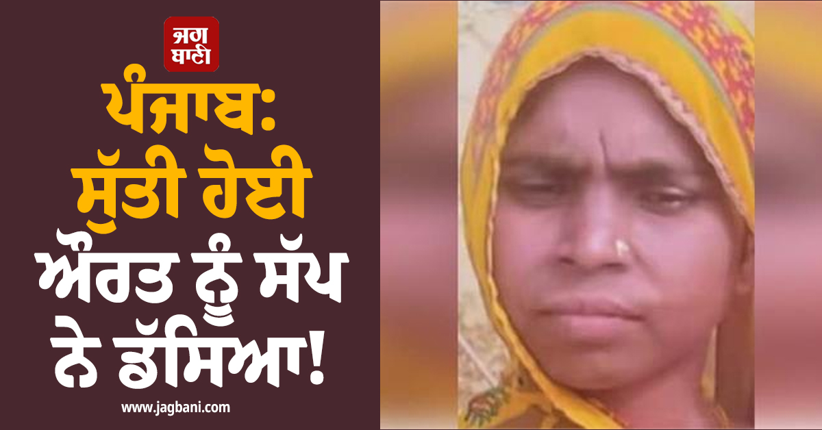 ਪੰਜਾਬ: ਸੁੱਤੀ ਹੋਈ ਔਰਤ ਨੂੰ ਸੱਪ ਨੇ ਡੱਸਿਆ! 6 ਜਵਾਕਾਂ ਦੇ ਸਿਰੋਂ ਉੱਠਿਆ ਮਾਂ ਦਾ ਸਾਇਆ