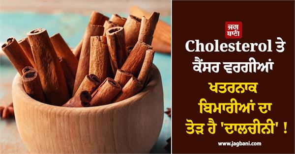cinnamon is the cure for dangerous diseases like cholesterol and cancer 