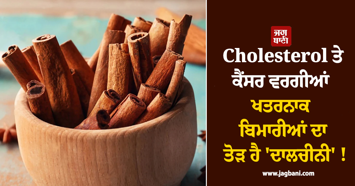Cholesterol ਤੇ ਕੈਂਸਰ ਵਰਗੀਆਂ ਖਤਰਨਾਕ ਬਿਮਾਰੀਆਂ ਦਾ ਤੋੜ ਹੈ 'ਦਾਲਚੀਨੀ' ! ਜਾਣੋ ਇਸ ਦੇ ਹੈਰਾਨੀਜਨਕ ਫਾਇਦੇ