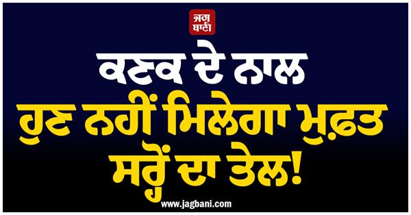 free wheat mustard oil money