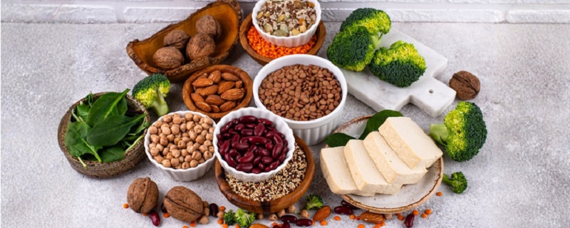 Protein ਦਾ ਭੰਡਾਰ ਹਨ ਇਹ ਚੀਜ਼ਾਂ ! ਰੋਜ਼ਾਨਾ ਖਾਣ ਨਾਲ ਮਿਲਣਗੇ ਅਣਗਿਣਤ ਫਾਇਦੇ