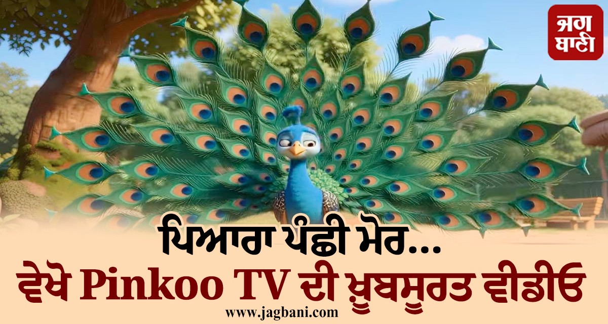 ਪਿਆਰਾ ਪੰਛੀ ਮੋਰ...ਵੇਖੋ Pinkoo TV ਦੀ ਖ਼ੂਬਸੂਰਤ ਵੀਡੀਓ