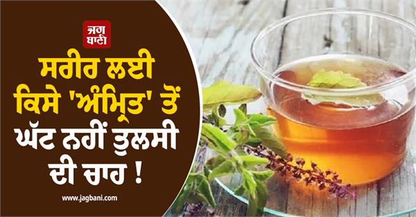 the desire for tulsi is no less than nectar for the body 