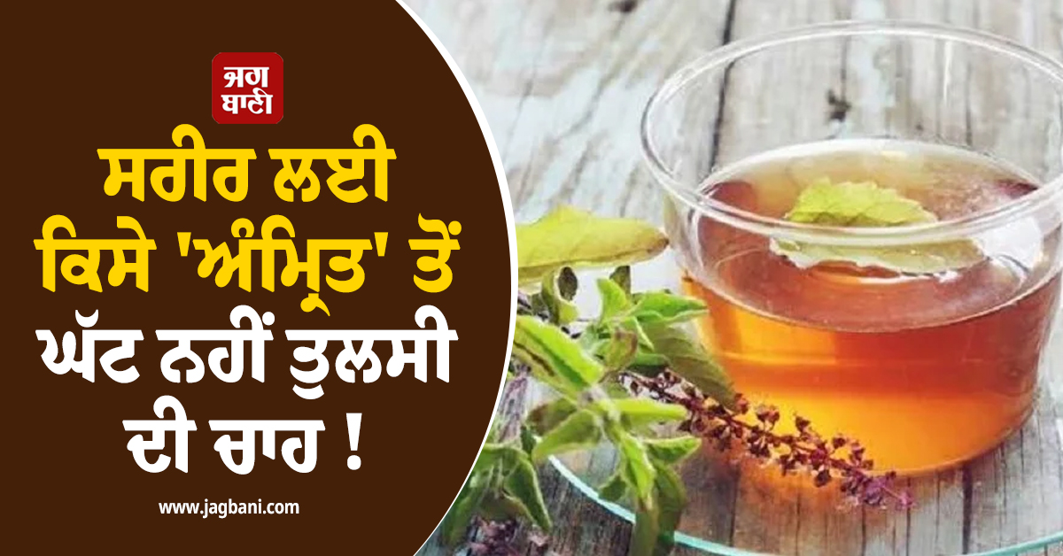 ਸਰੀਰ ਲਈ ਕਿਸੇ 'ਅੰਮ੍ਰਿਤ' ਤੋਂ ਘੱਟ ਨਹੀਂ ਤੁਲਸੀ ਦੀ ਚਾਹ ! ਜਾਣੋ ਇਸ ਦੇ ਫਾਇਦੇ