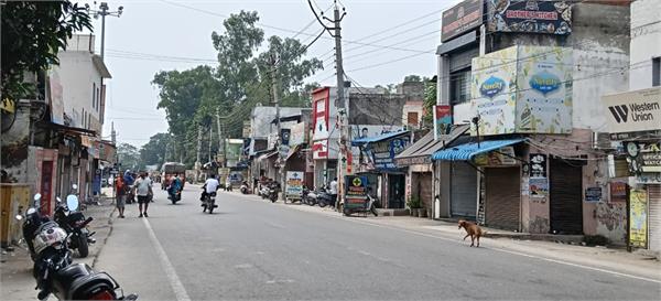 towns closed in haryana  punjab  school closed
