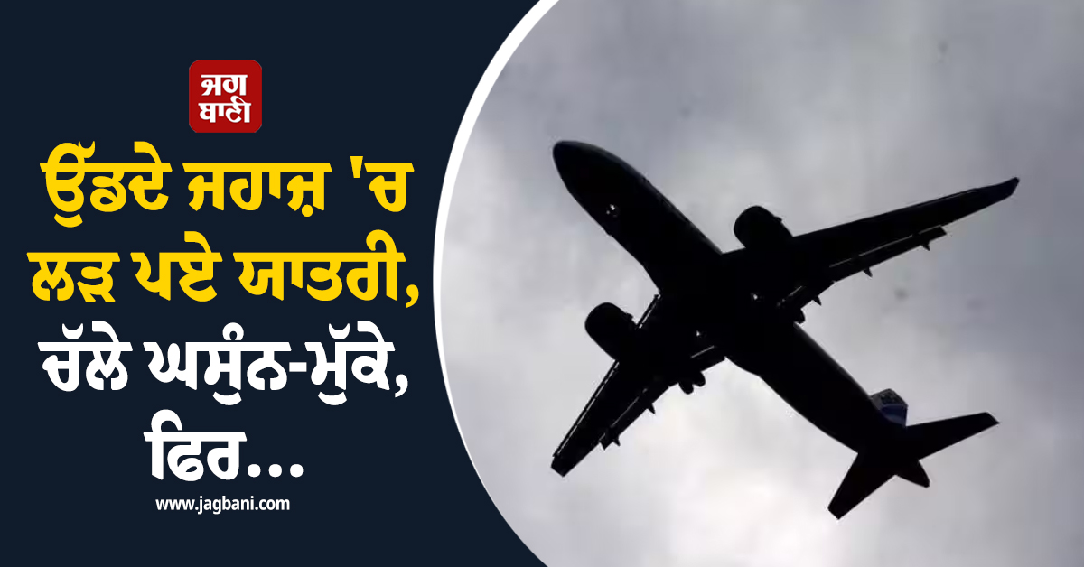 ਉੱਡਦੇ ਜਹਾਜ਼ ''ਚ ਲੜ ਪਏ ਯਾਤਰੀ, ਚੱਲੇ ਘਸੁੰਨ-ਮੁੱਕੇ, ਫਿਰ...