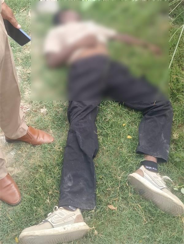 body of young man found in vacant plot  punjab police