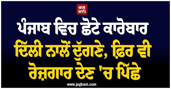 punjab nso report
