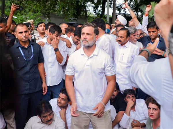 student movements shift political equations  path to a comeback for rahul gandhi