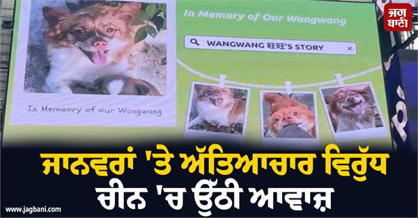 voice raised in china against cruelty to animals protests
