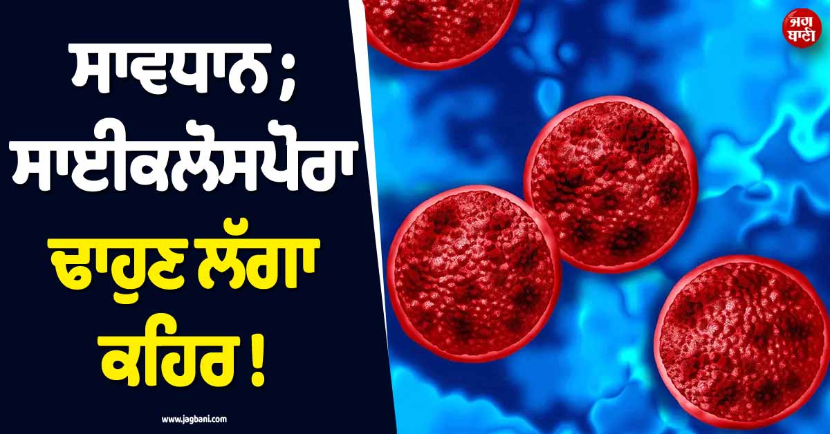 ਸਾਵਧਾਨ ; ਸਾਈਕਲੋਸਪੋਰਾ ਢਾਹੁਣ ਲੱਗਾ ਕਹਿਰ ! ਅਮਰੀਕਾ ''ਚ 7,000 ਤੋਂ ਵੱਧ ਲੋਕਾਂ ਦਾ ਹੋਇਆ ਬੁਰਾ ਹਾਲ