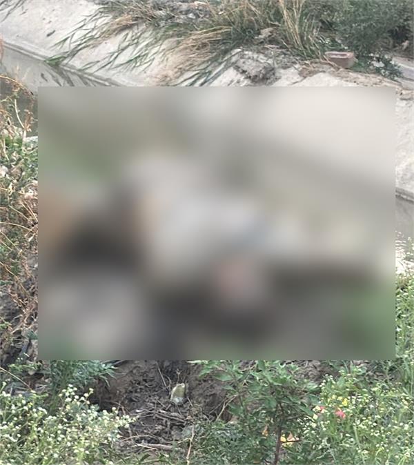 body in canal  punjab police