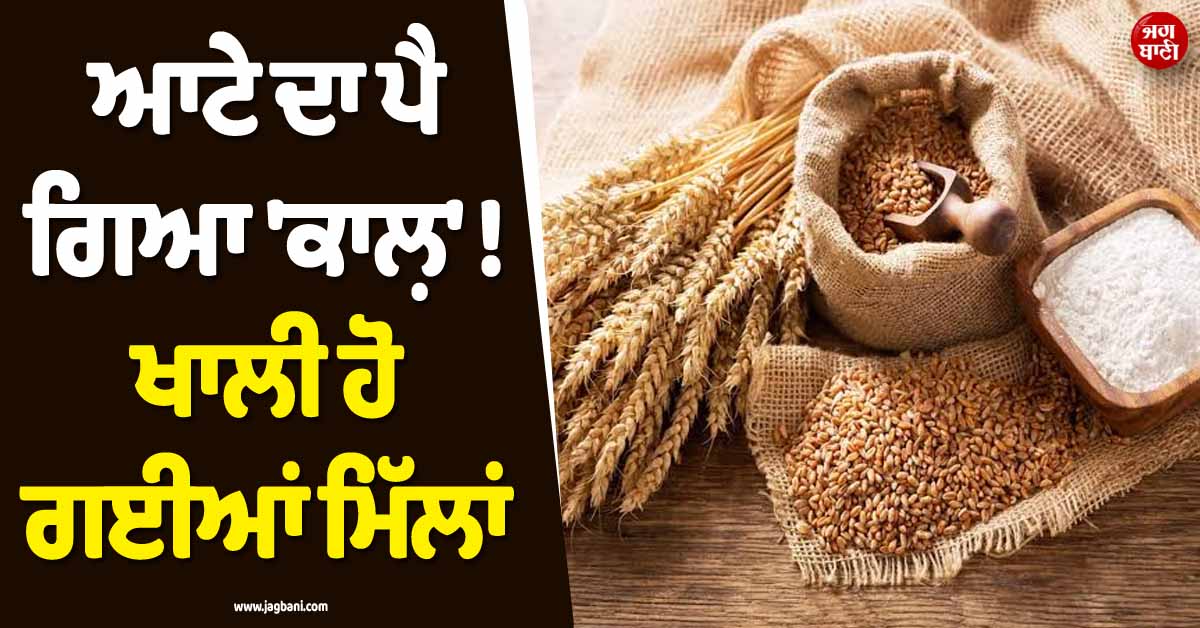 ਆਟੇ ਦਾ ਪੈ ਗਿਆ ''ਕਾਲ਼'' ! ਖਾਲੀ ਹੋ ਗਈਆਂ ਮਿੱਲਾਂ, ਗੁਆਂਢੀ ਮੁਲਕ ''ਚ ਬਦ ਤੋਂ ਬਦਤਰ ਹੋਏ ਹਾਲਾਤ
