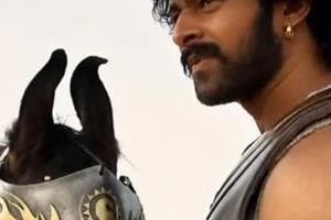 rajamouli advised prabhas to keep a horse at home during   baahubali   prep