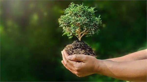 life will be saved only by preserving nature