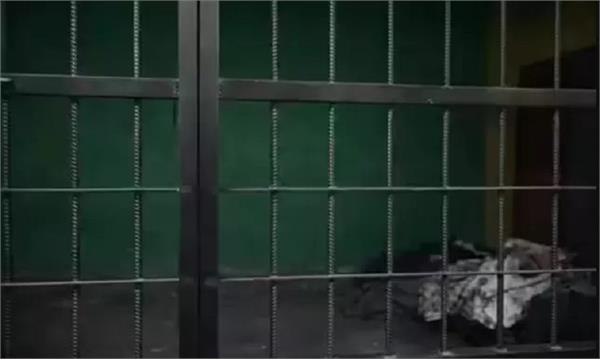 prison violence