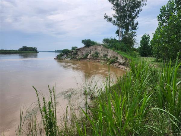 fear of floods increased in villages along beas river due to continuous rains