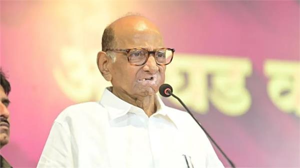 speculations over the political future of the ncp