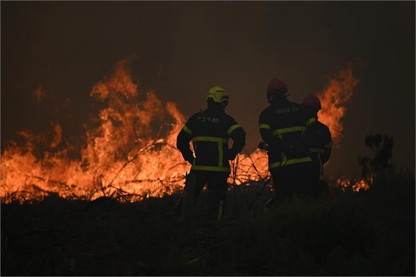 wildfires