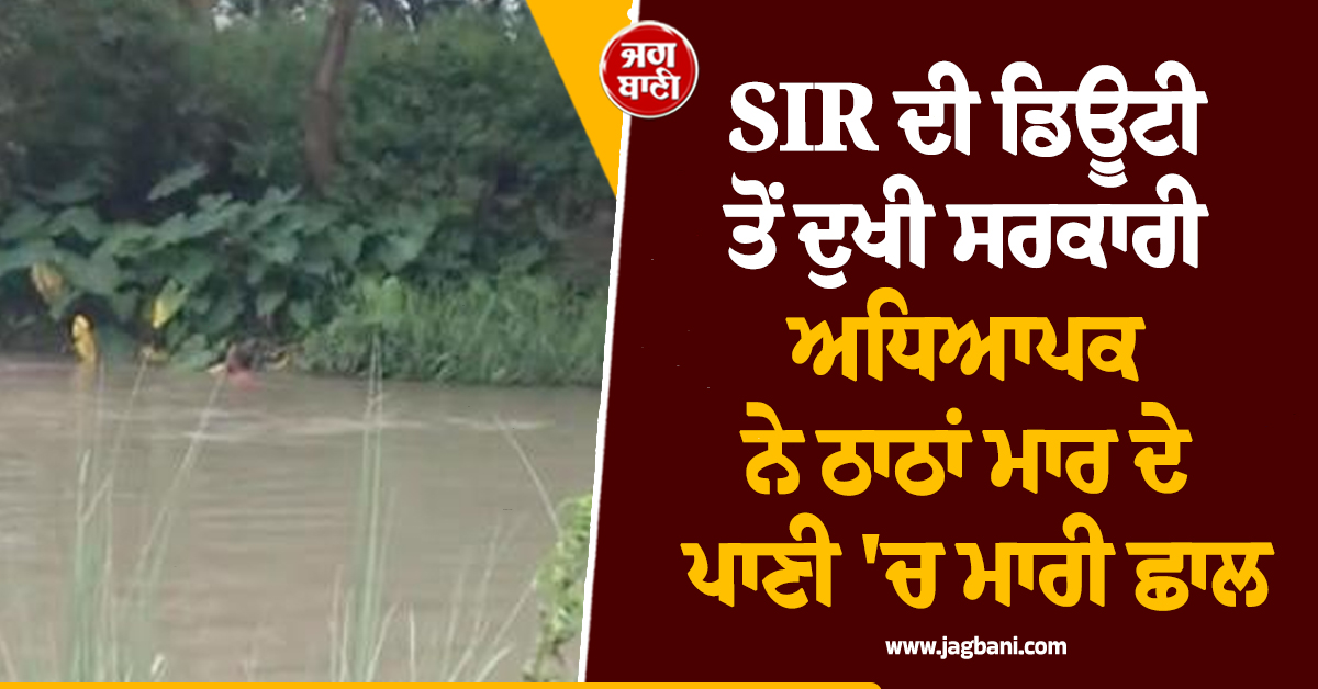 SIR ਦੀ ਡਿਊਟੀ ਤੋਂ ਦੁਖੀ ਸਰਕਾਰੀ ਅਧਿਆਪਕ ਨੇ ਠਾਠਾਂ ਮਾਰ ਦੇ ਪਾਣੀ 'ਚ ਮਾਰੀ ਛਾਲ