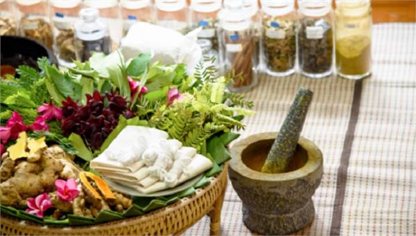 deep scientific research on ayurvedic medicines