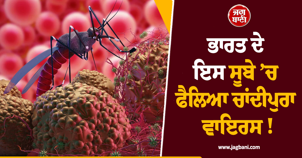 ਭਾਰਤ ਦੇ ਇਸ ਸੂਬੇ ’ਚ ਫੈਲਿਆ Chandipura virus ! ਮਹੀਨੇ ’ਚ 12 ਜਵਾਕਾਂ ਦੀ ਮੌਤ, ਕੀ ਹੈ ਚਾਂਦੀਪੁਰਾ ਵਾਇਰਸ