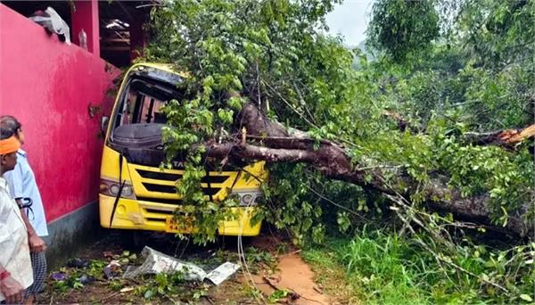 huge tree falls on moving school bus