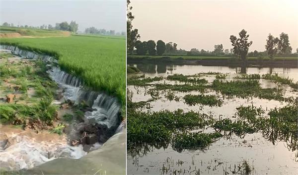 water has entered the fort of the sutlej river